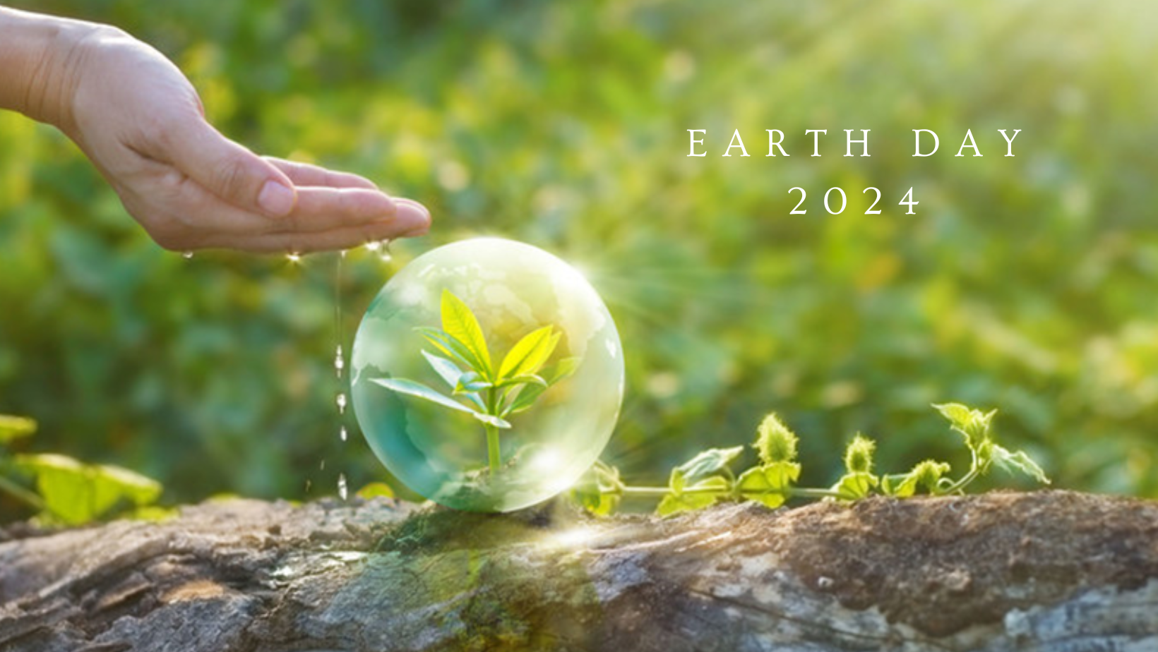 Commissioning of the photovoltaic installation